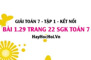 Giải bài 1.29 trang 22 Toán 7 Tập 1 SGK Kết nối tri thức: Cộng trừ Số hữu tỉ